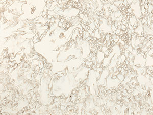 Cambria Hermitage 3 CM Polished