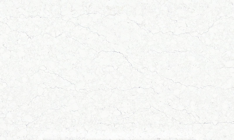 Spectrum Pristine 3 CM Polished